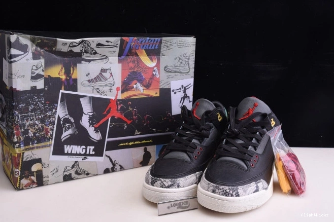 2.0 Animal Air Retro Instinct CV3583-003 SE - 3 Jordan 0903